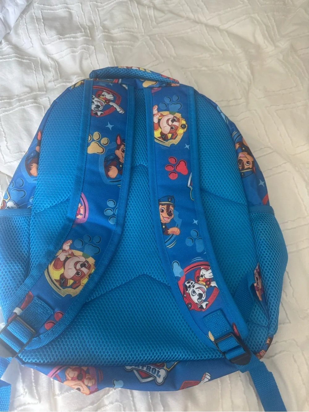 Paw Patrol bright paw